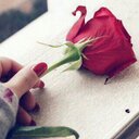 bilal (@0093786Bilal) Twitter