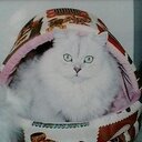 G-I-7 (@007george0011) Twitter