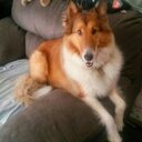 Karen Estes (@01_VetteGirl) Twitter