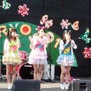 H.た~やん