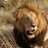 Twitter result for Amazon UK from KenyaInsiderTip