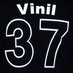vinil_37