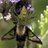 Dave_Fouchey