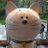 GoShota0522