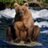Twitter result for PC World from AshleyH41969927