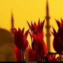 elzem nur (@01Elzem) Twitter