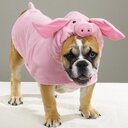 cochinaperra