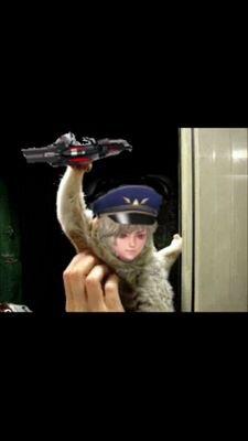 The profile image of castel721