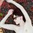 Cam Girl Tiffany Nacke on Twitter Cam Girl Tiffany Nacke on Twitter