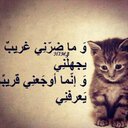 amr alnajjar (@007Alnajjar) Twitter