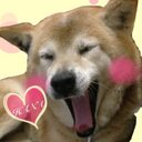 おもち
