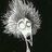 @TimBurton_JP