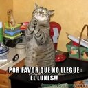 doguiswj (@01e273739d9a405) Twitter