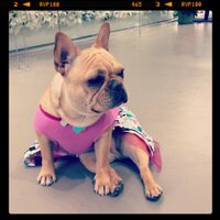 @yaletownharlot