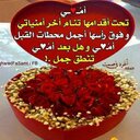 يحيى الهلالي (@0096ab11f6e34df) Twitter