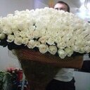 водичка минеральная (@00Minera) Twitter
