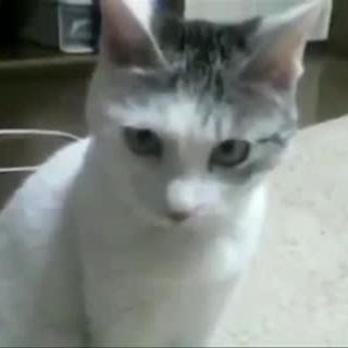 Sarı Kırmızı Haber Twitter Hesabı Profil Fotoğrafı Sarı Kırmızı Haber Twitter Hesabı Profil Fotoğrafı