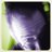 Porn Exec Jimi King on Twitter Porn Exec Jimi King on Twitter