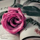 Al-Rawahi (@000d8366ee63425) Twitter