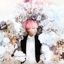 shfly3424