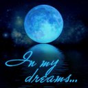 DreamySim1