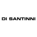 SiteDiSantinni