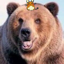 しんせん
