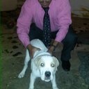 Joshua Thomas (@0074b172ffc444b) Twitter