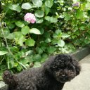 yumi (@0208_z) Twitter