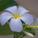 JASMINE (@01jasmine30) Twitter