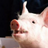 The profile image of pigma_tweet