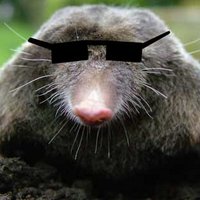 @publicsecmole