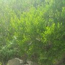 عبدالمجيد السلمي (@00541fe0ec6140a) Twitter