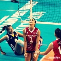 @picvolley