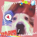 ゆーこ (@00914410) Twitter