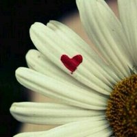 @ashtaq_lamy