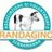 Randagino