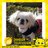 Twitter result for Musicroom from koyuki_115