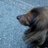2017/09/26 14:24 eiichi