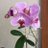 김정순
@a39758745 a39758745