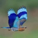 सून्य बिचार (@00000Mind) Twitter