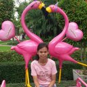 Phiranya Chatta (@01f429ca59ea47c) Twitter