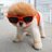 Twitter result for Bonprix from promo_animaux