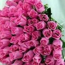 موجب فحل المدينه (@00609d64b13d4a9) Twitter
