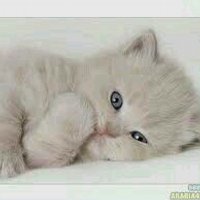 @ejjhn7n