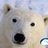 greatwhitebear