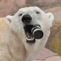 @AngrySoda