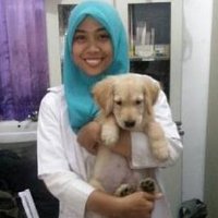 @prista_oye