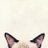 osakana_neko