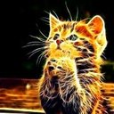 Ana (@019ce009a624482) Twitter